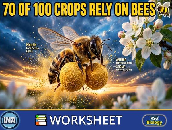 Pollination and Fertilisation - KS3 Biology Worksheet