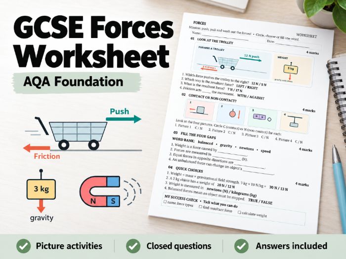 GCSE Forces Worksheet | SEN-Friendly Grade2/3 | Visual Activities, Retrieval & Answers