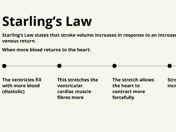 A-Level PE Cardiovascular System Part 2