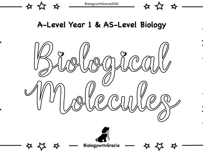 Biology Molecules Worksheet