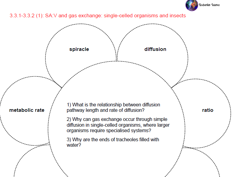 AQA A level Biology, Topic 3, Flower Booklets