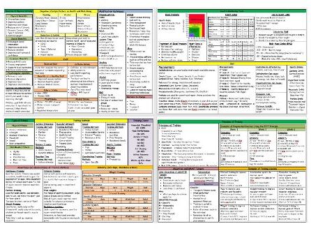 Btec Sport - Level 3 - Unit 2 - Complete Knowledge Organisers/Example of Exam Prep Notes