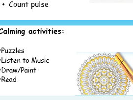 Self Regulation BITE SIZE lesson 4: tools and strategies