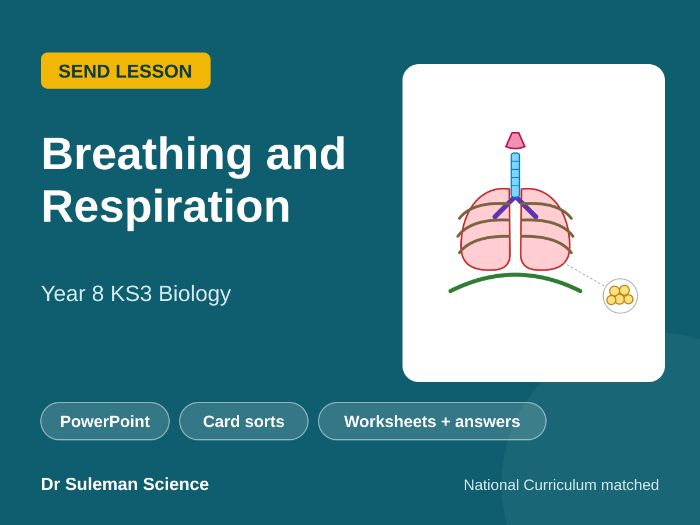 Breathing and Respiration SEND Lesson KS3 Year 8
