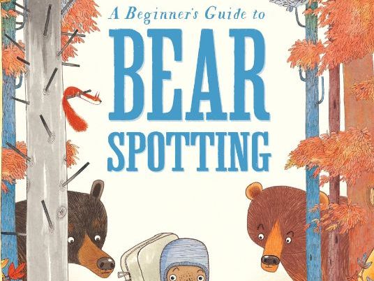 A Beginner's Guide to Bear Spotting