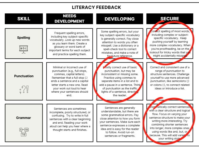 Literacy Feedback Rubric