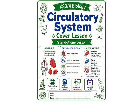 The circulatory system cover lesson (L21)
