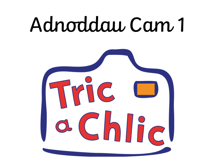 Adnoddau Tric a Chlic