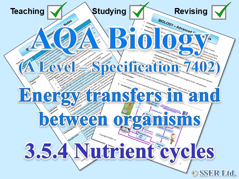 BIOA_AQA Topic Notes: 3.5.4 Nutrient cycles