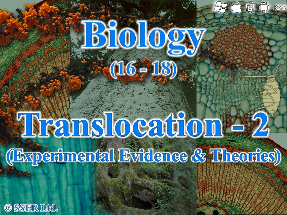 BioA_3.3.4.2 Translocation - 2 (Experimental Evidence & Theories)