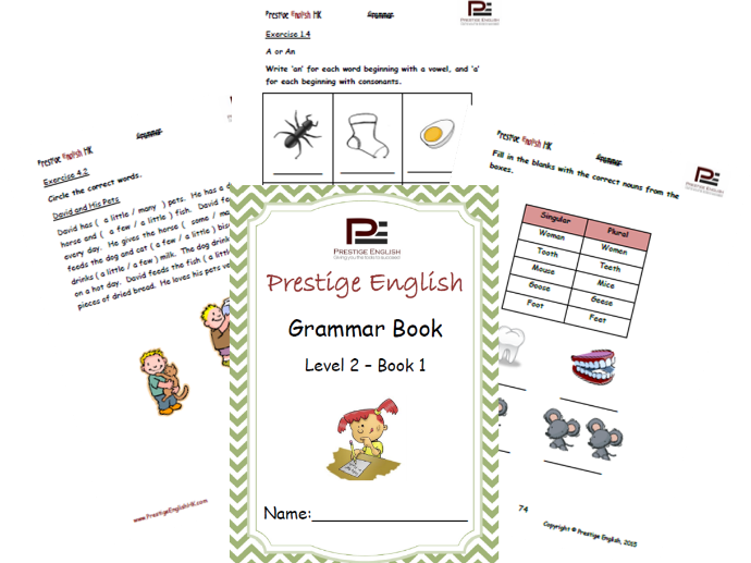 English Grammar Book – Level 2 – Book 1