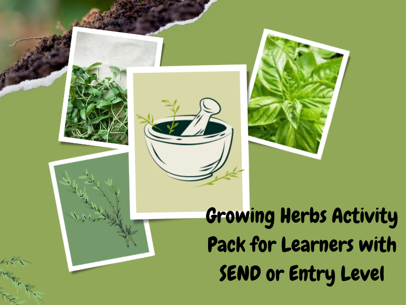 Growing Herbs Activity Pack for Learners with SEND or Entry Level ...