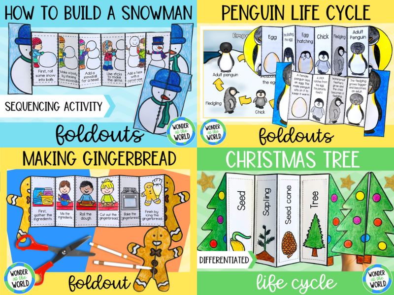 Winter and Christmas foldable sequencing activities life cycles