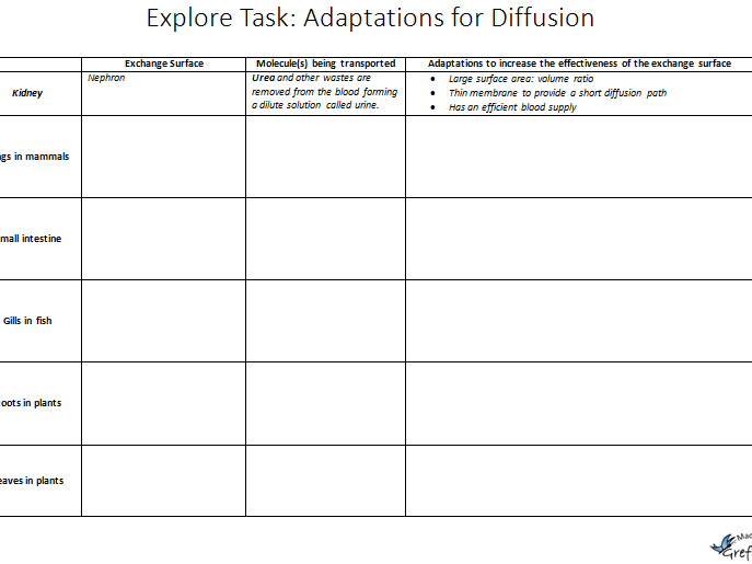 Explore Task: Adaptations for Diffusion