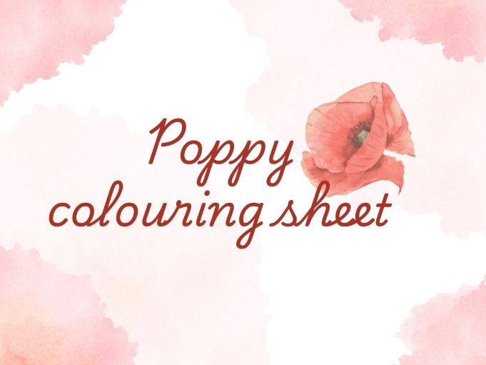 Poppy colouring sheet