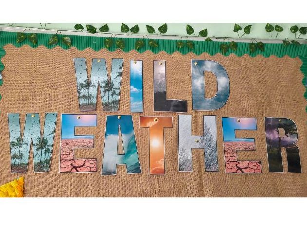 WILD WEATHER DISPLAY