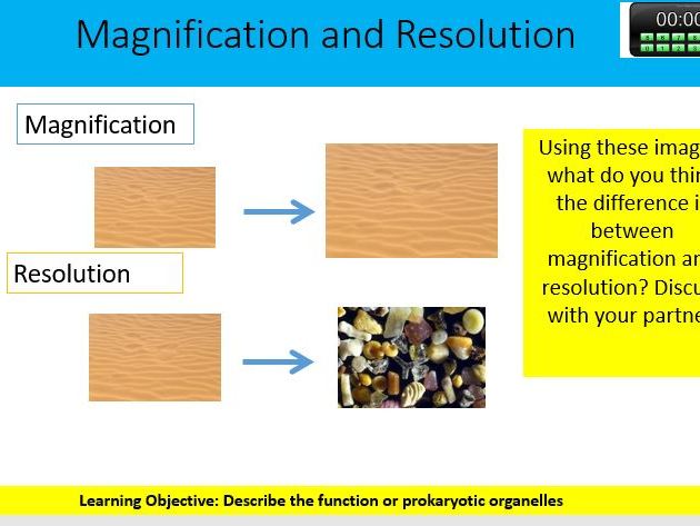 BTEC Applied Science Unit 1- Magnification