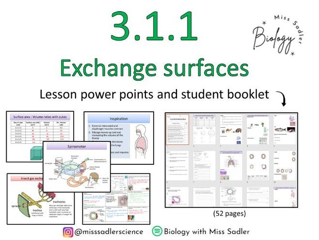 3.1.1 Exchange Surfaces (approx 9-10 lessons)