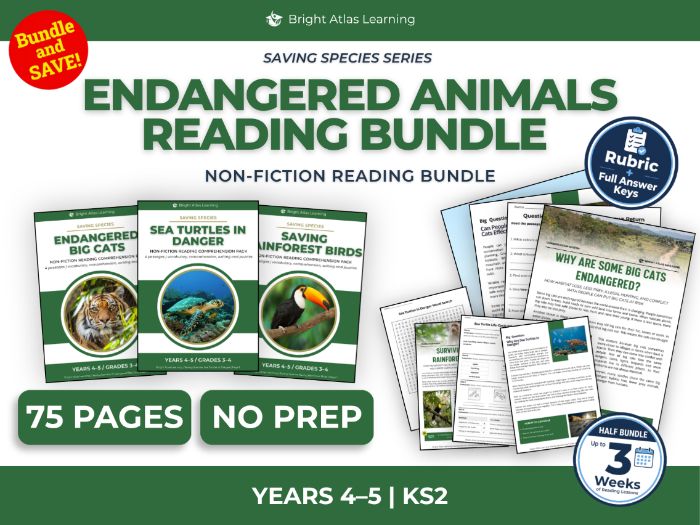Big Cats, Sea Turtles and Rainforest Birds Reading Bundle | KS2 Years 4–5