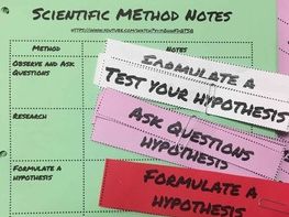 Scientific Method Card Sort