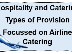 Types of Provision - Focus on Airline Tray Service.