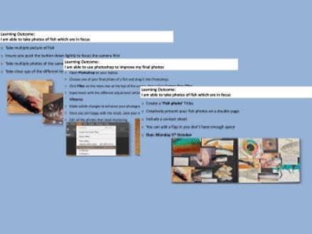 Year 10 - GCSE Textiles - Week 3 - Fish Photography and Photoshop - Beach Life