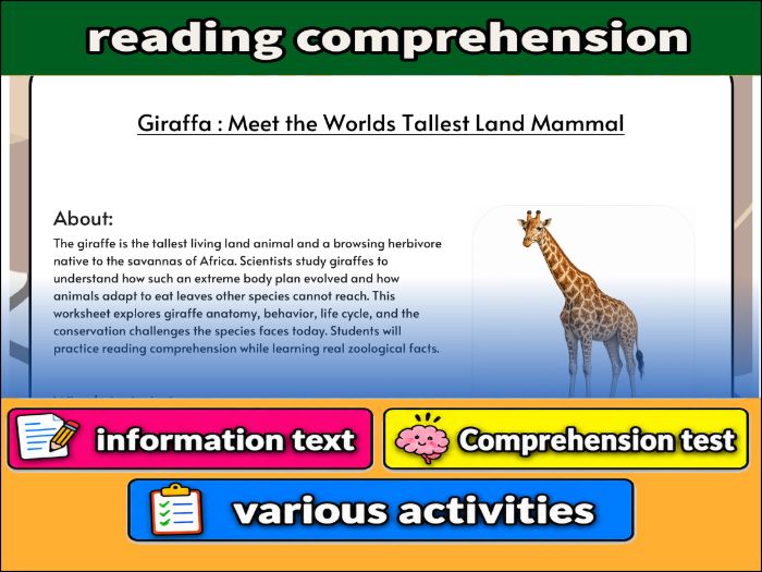 Giraffa : Meet the Worlds Tallest Land Mammal - zoology & Activities