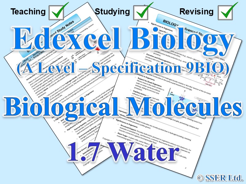 BIOA_EDX Topic Notes: 1.7 Water