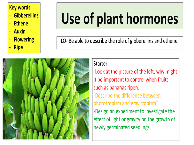 Mr Science Teaching Resources TES
