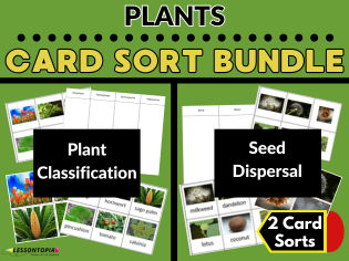 Plant Card Sort Bundle | Plant Classification & Seed Dispersal | KS2–KS3 Science