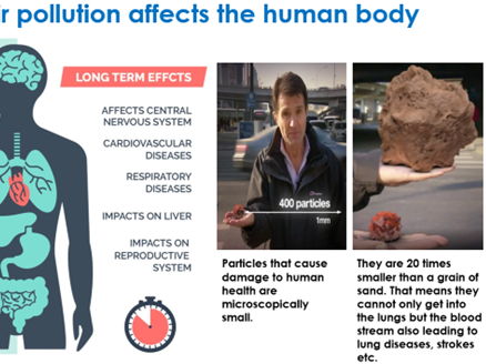 China's Impact on the Environment