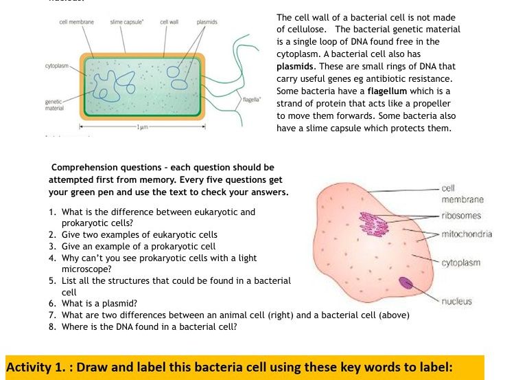AQA Topic 1 Cell Biology COMBINED booklet