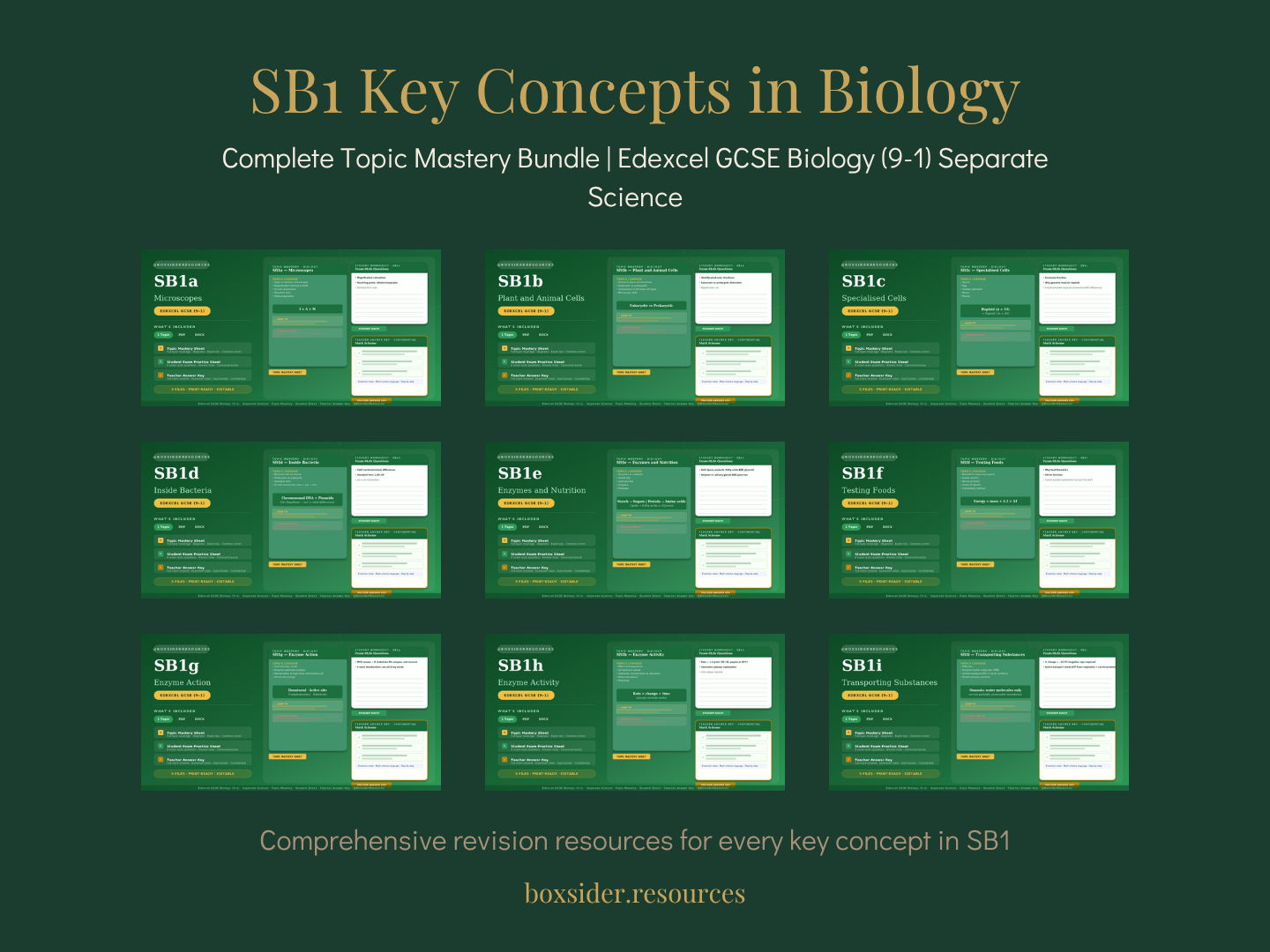 SB1 Key Concepts in Biology | Complete Topic Mastery Bundle | Edexcel GCSE Biology (9–1) Separate Science
