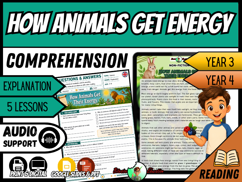 How Animals Get Energy | Reading Comprehension | Year 3/4