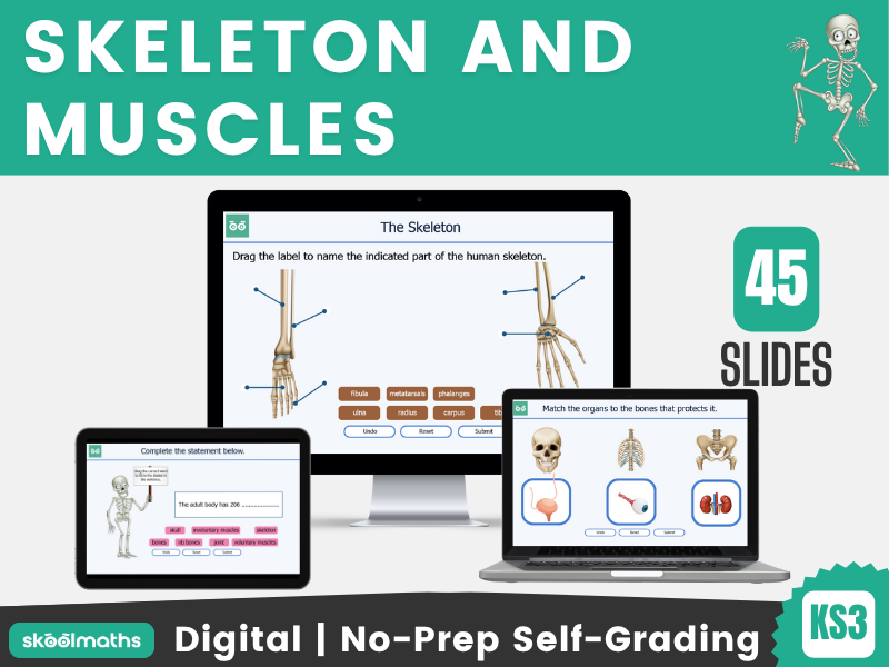 Skeleton and Muscles Interactive Digital Science Lesson with Self-Marking Activities