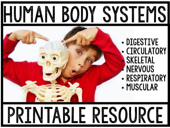 Human Body Systems Printable Pack Teaching Resources