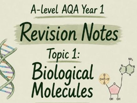 AQA | A-level  Biology | Year 1 | Topic 1: Biological Molecules | Revision Notes