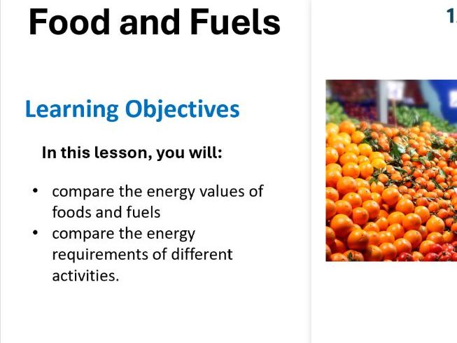 KS3 ENERGY AND FOOD
