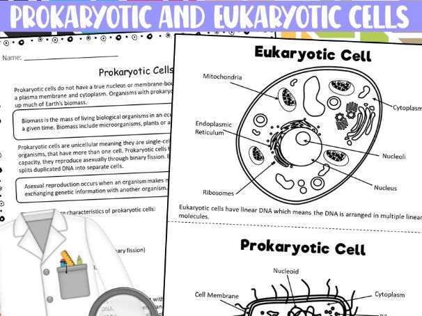 AQA GCSE Eukaryotic and Prokaryotic Cells Biology(Paper 1 Exam Questions)