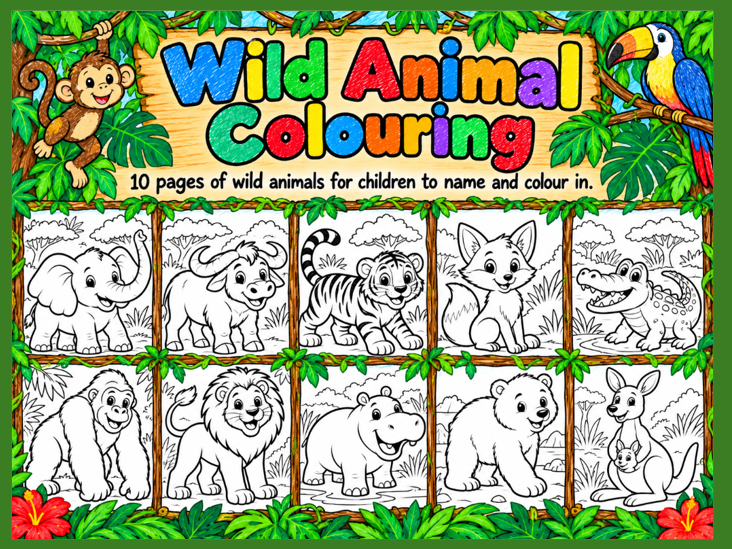 Wild Animals Colouring Cards EYFS