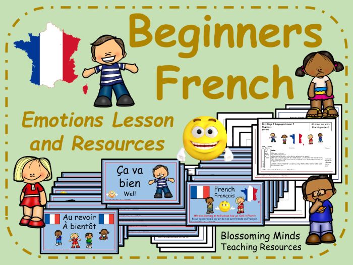 French lesson and resources - Emotions and Feelings