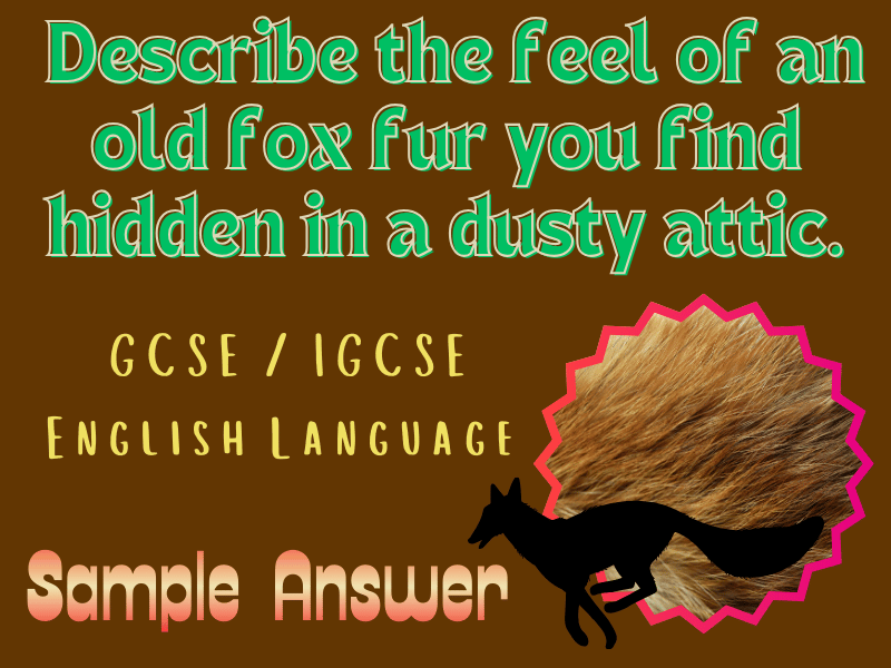 IGCSE English Language Sample: Describe the feel of an old fox fur you find hidden in a dusty attic.