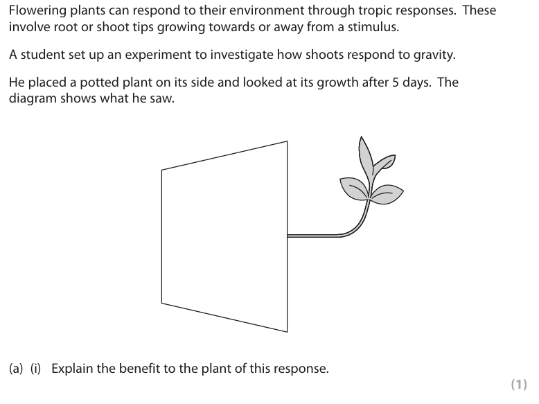 Plant Tropisms and Auxins - I/GCSE Biology/Combined - Exam Qs and As