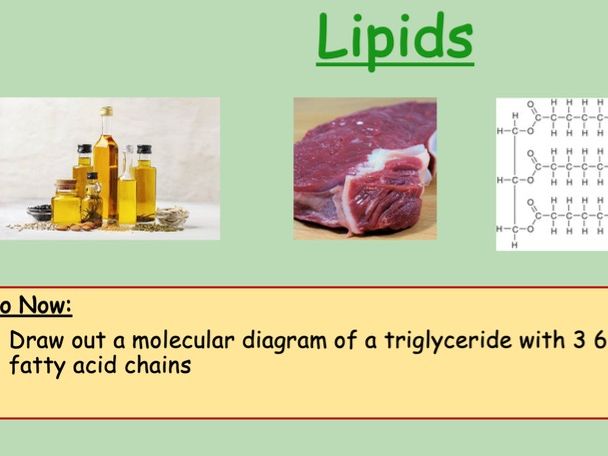 Edexcel IAL Biology Topic 1A - Lesson 8 - Lipids Part 2 With Exam Practice