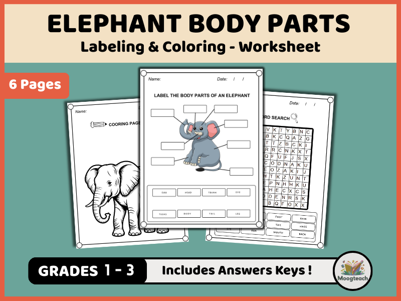 Elephant Body Parts Activity Pack | Labeling, Coloring & Word Search (K-2 Safari Wildlife PDF)