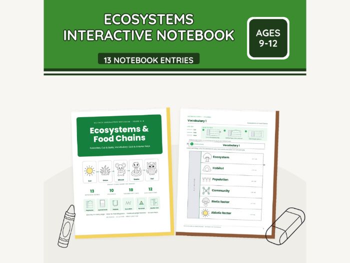 Food Chains Interactive Notebook KS2