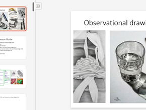 KS3 observational drawing SOW (a half term of lessons)