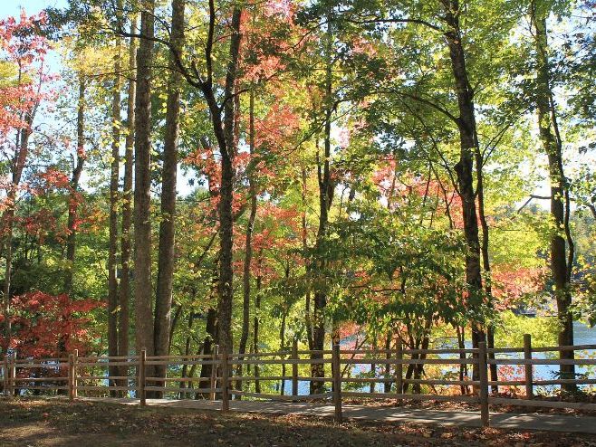 IGCSE English Language Speech Writing Lessons