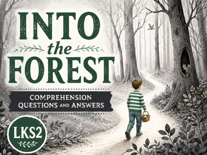 Into the Forest - Comprehension - LKS2