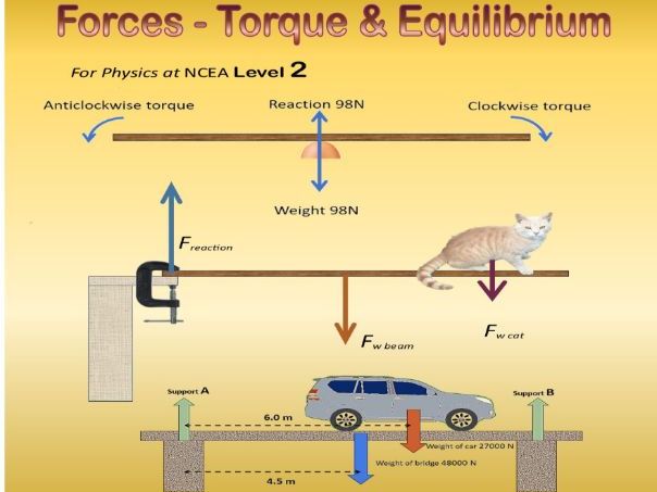 Torque & Equlibrium (NCEA PHY 2-4)